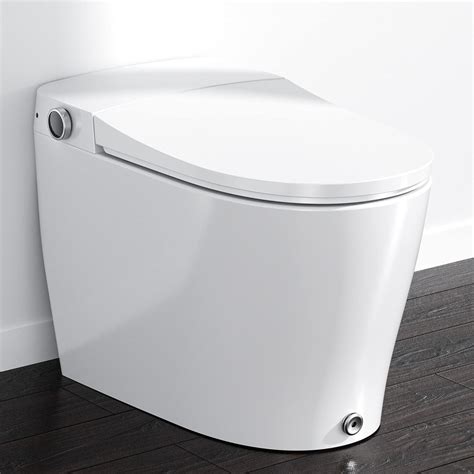 This small <b>toilet</b> is designed with. . Horow toilet